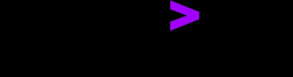 Accenture Partner