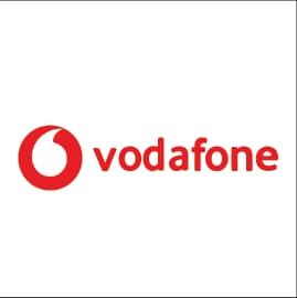 Partner Logo