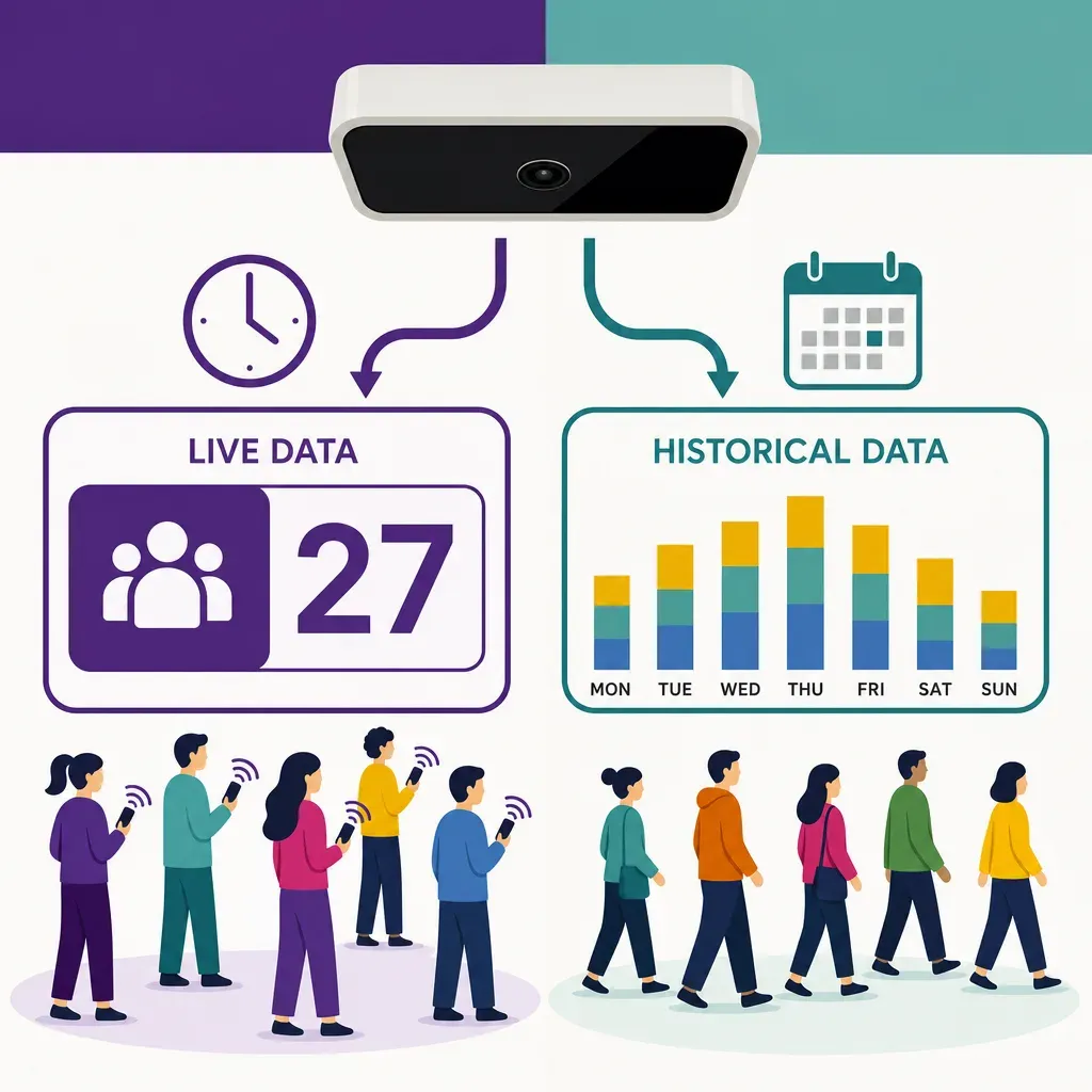 infographic comparing real-time people counting with live numbers and historical counting with trend charts
