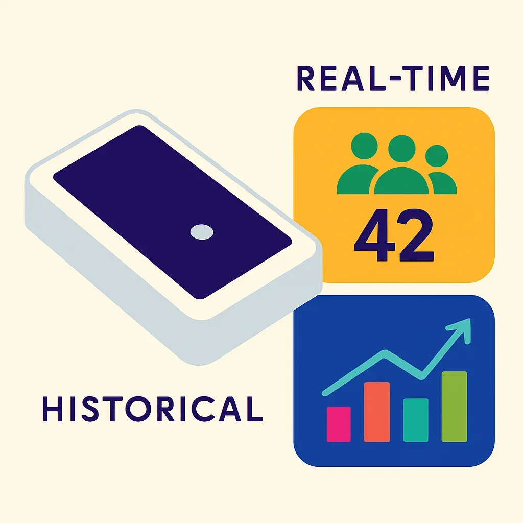 Infografik vergleicht Echtzeit-Personenzählung mit Live-Zahlen und historische Besucherzahlen mit Trenddiagrammen