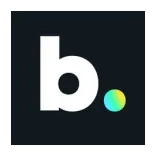 b.sure analytics logo